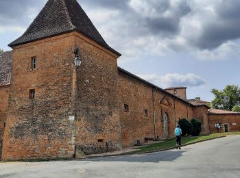 Tour Wandern Chessy - Chessy à Bagnols - Photo