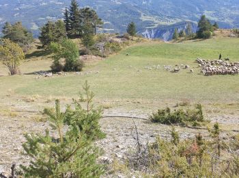 Randonnée Marche Faucon-de-Barcelonnette - Au dessus de Faucon 04 - Photo