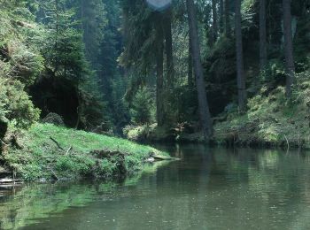 Tocht Te voet Sebnitz - Hinterhermsdorfer Rundweg - Photo