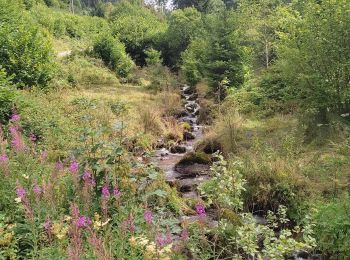 Trail Walking Plainfaing - Cascade du Rudlin - Photo