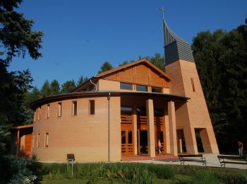 Tour Zu Fuß Zalakaros - Felső-hegyi körtúra - Photo