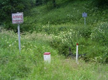 Percorso A piedi Sankt Oswald bei Haslach - Steilstufenweg - Kleine Runde - Photo