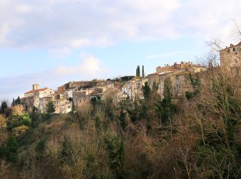 Trail On foot Scansano - Sansano - Marina di Alberese - Photo