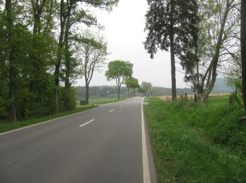 Tocht Te voet Bad Arolsen - Bonifatiuspfad Abschnitt 3, Volkhardinghausen - Naumburg - Photo