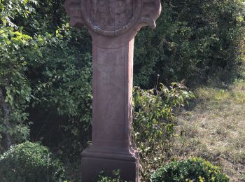 Tour Wandern Hohengöft - Chemin de croix baptême Loulou  - Photo