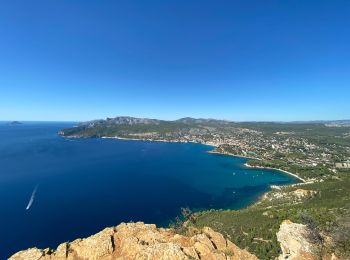 Excursión Senderismo La Ciotat - La Ciotat Cassis par la falaise cap canaille  - Photo