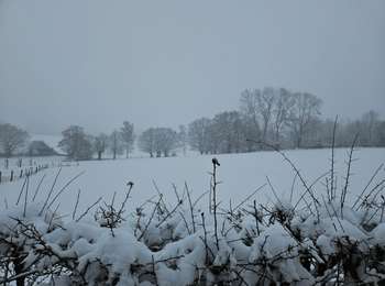 Tocht Stappen Soumagne - ❄️⛄️ Soiron - Photo