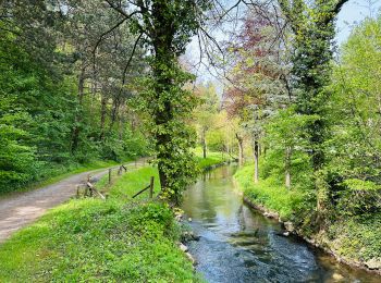 Randonnée Marche Wanze - La promenade de la Pierre à Moha (Wanze) - Photo