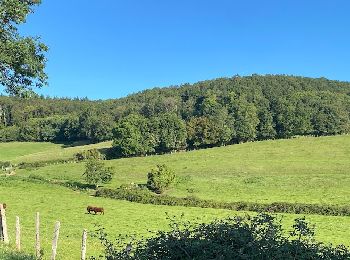 Tocht Stappen Bretoncelles - BRETONCELLES ET SES HAMEAUX - Photo