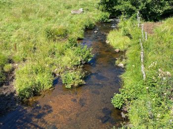 Tocht Stappen Nasbinals - Nasbinals Montorzier Aubrac GR65 - Photo