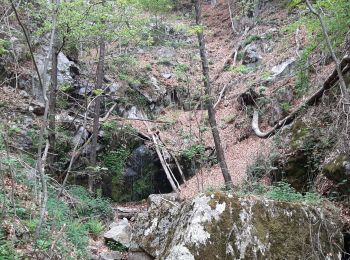 Tour Wandern Le Tech - l,allau st guillem - Photo