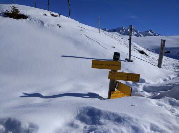 Tour Schneeschuhwandern Theys - pipay col de merdaret - Photo