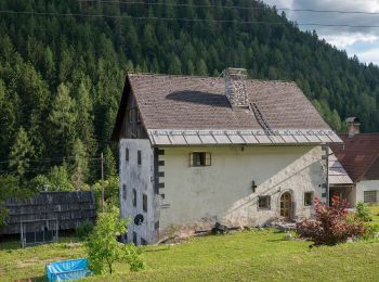 Percorso A piedi Bad Bleiberg - Stollenwanderweg - Photo