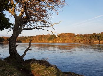 Excursión Senderismo La Forêt-Fouesnant - le tour de la pointe St Laurent  - Photo