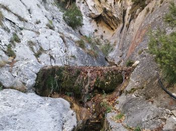 Randonnée Marche Gorbio - vvv - Photo