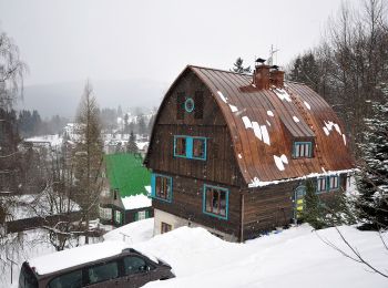 Tour Zu Fuß Odrodzenie - Dřevařská cesta - Photo