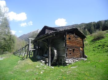 Tour Zu Fuß Terenten - IT-8A - Photo