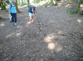 Trail Walking Vallière - valliete - Photo