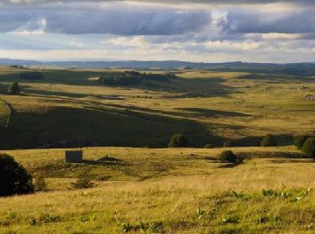 Excursión A pie Fridefont - Mercredi 8 mai - Photo