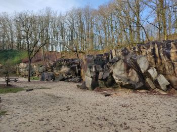 Randonnée Marche Palaiseau - La Troche - Photo