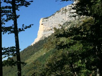 Excursión Senderismo Entremont-le-Vieux - Le Granier - Photo