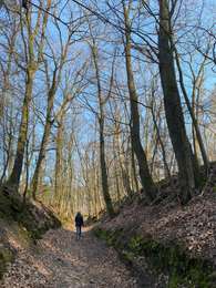 Percorso Marcia Grez-Doiceau - Grez Doiceau Gottechain - Photo