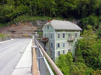 Randonnée A pied Tolmin - Tematska pot Lom je moj dom - Photo