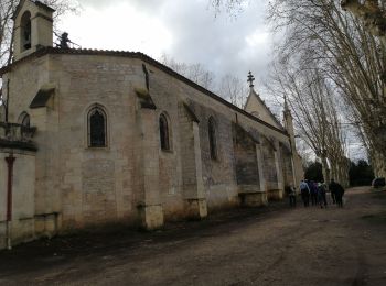 Randonnée Marche Libourne - rando douce Condat - Photo