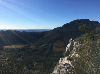 Trail Walking Valflaunès - L’Hortus par château de Vivioures - Photo