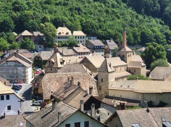 Tour Radtourismus  Les Rousses - LES ROUSSES - LAC DE JOUX ET ROMAINMOTIER - Photo