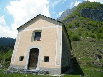 Percorso A piedi Lozio - Lozio - Passo di Baione - Photo