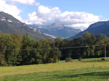 Tour Rennrad Aix-les-Bains - st félix.hery sur album.cusy.aix - Photo