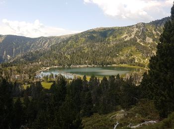 Percorso Marcia Nohèdes - lacs negre estellat et clot nohèdes  - Photo