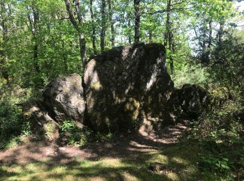 Tour Wandern Sorèze - Bernicault - Photo