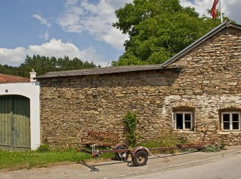 Excursión A pie Gemeinde Pölla - Schauensteinweg 52 - Photo