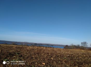 Tocht Lopen Brasparts - circuite ecole de chasse (noces de pierres) Braspart - Photo