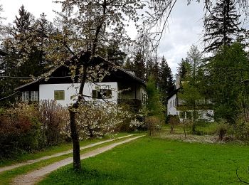 Tour Zu Fuß Unbekannt - Rundwanderweg Rosengarten - Photo