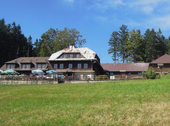 Tour Zu Fuß Halenkov - [Z] Provazné - Vsacký Cáb - Photo