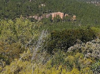 Trail Walking Puget-sur-Argens - z source st martin 09-04-19 - Photo