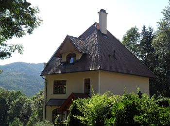 Randonnée A pied Gemeinde Breitenstein - Breitenstein - Klamm - Photo