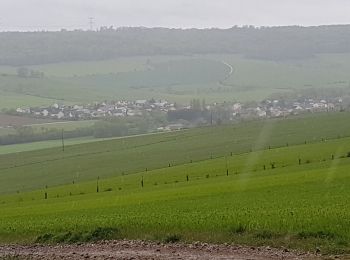 Tocht Stappen Montenoy - MONTENOY - LE COL DE VASSUCHAMP - Photo