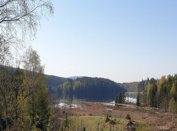 Trail On foot Unknown - Tømtekleivene - Photo