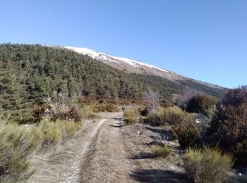 Randonnée Ski de randonnée Castellet-lès-Sausses - mourre Frey te tête de travers - Photo