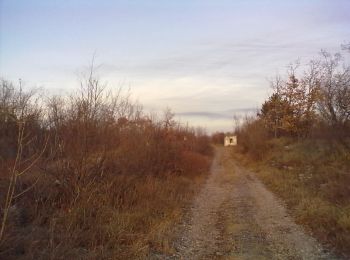 Trail On foot Duino Aurisina / Devin - Nabrežina - IT-32 - Photo