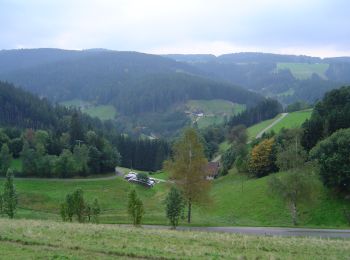 Tocht Te voet St. Georgen im Schwarzwald - St. Georgener Heimatpfad - Photo