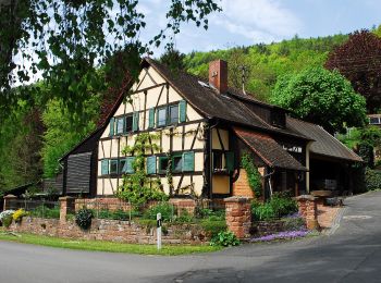 Randonnée A pied Weilbach - Rundwanderweg Weilbach Reuental 1: - Photo