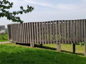 Randonnée Vélo de route Looz - Visit Limbourg Du fruit au sirop - Photo