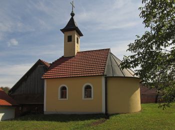 Excursión A pie Gemeinde Schweiggers - Zeiten Weg 43 - Photo