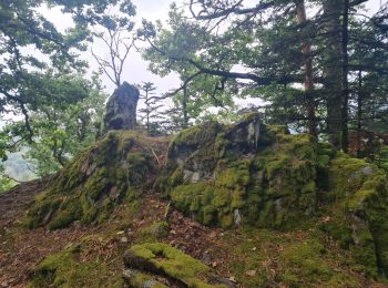 Trail Walking Rombach-le-Franc - Col de Schlingoutte - Photo