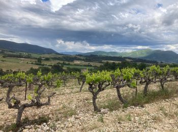 Randonnée Vélo de route Mirabel-aux-Baronnies - Mirabel/Vinsobres/Venterol/Nyons/Mirabel 28km - Photo